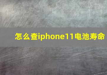 怎么查iphone11电池寿命