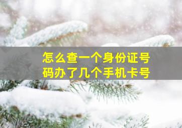 怎么查一个身份证号码办了几个手机卡号