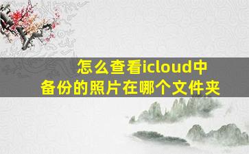 怎么查看icloud中备份的照片在哪个文件夹