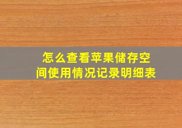 怎么查看苹果储存空间使用情况记录明细表