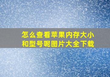 怎么查看苹果内存大小和型号呢图片大全下载