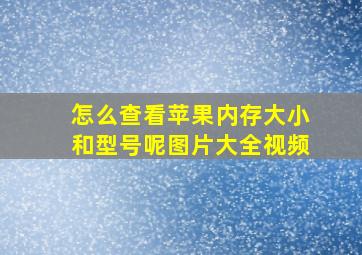 怎么查看苹果内存大小和型号呢图片大全视频