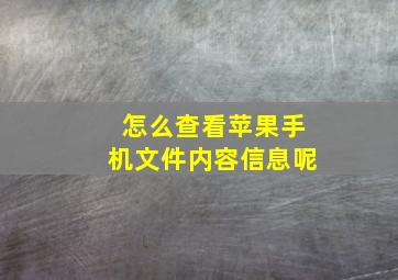 怎么查看苹果手机文件内容信息呢