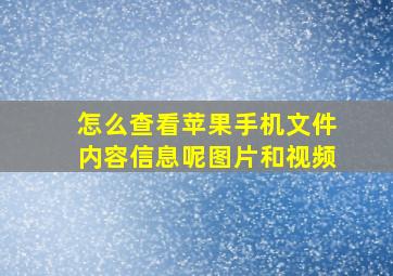 怎么查看苹果手机文件内容信息呢图片和视频