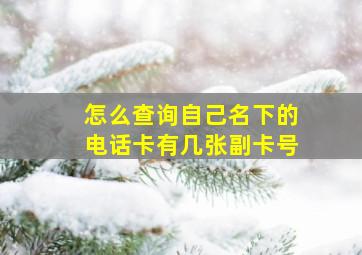 怎么查询自己名下的电话卡有几张副卡号