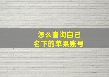 怎么查询自己名下的苹果账号