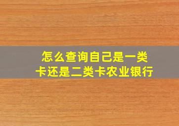 怎么查询自己是一类卡还是二类卡农业银行