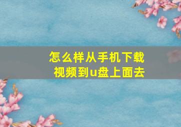 怎么样从手机下载视频到u盘上面去