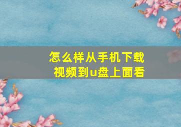 怎么样从手机下载视频到u盘上面看