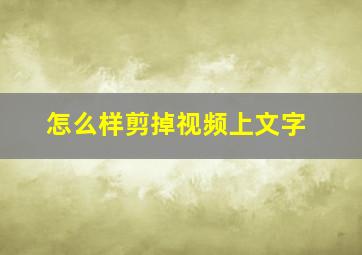 怎么样剪掉视频上文字