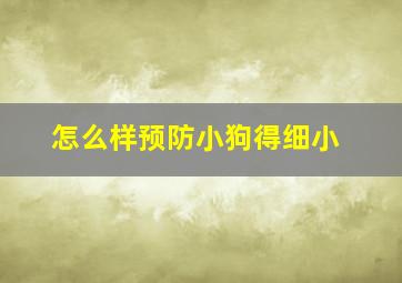 怎么样预防小狗得细小