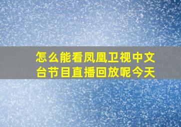 怎么能看凤凰卫视中文台节目直播回放呢今天