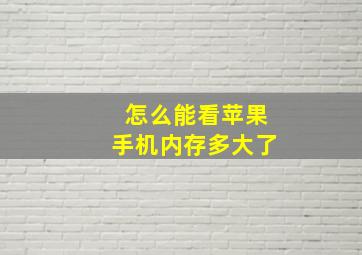 怎么能看苹果手机内存多大了