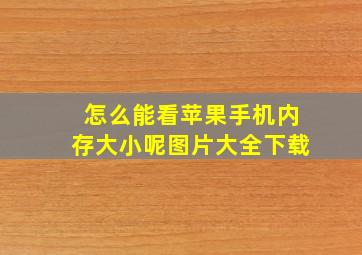 怎么能看苹果手机内存大小呢图片大全下载