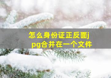 怎么身份证正反面jpg合并在一个文件