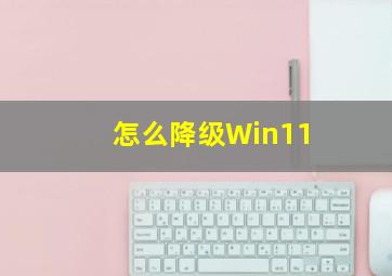 怎么降级Win11