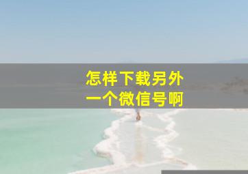 怎样下载另外一个微信号啊