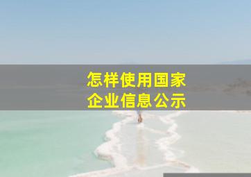 怎样使用国家企业信息公示