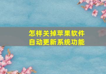 怎样关掉苹果软件自动更新系统功能