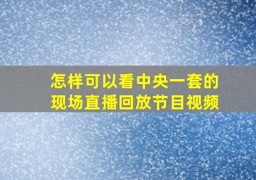 怎样可以看中央一套的现场直播回放节目视频