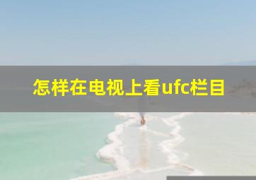 怎样在电视上看ufc栏目