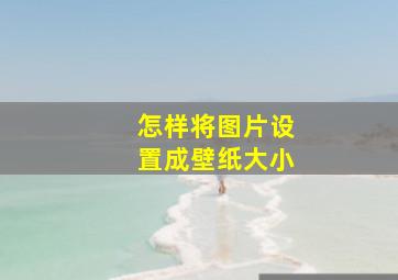 怎样将图片设置成壁纸大小