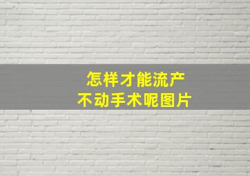 怎样才能流产不动手术呢图片