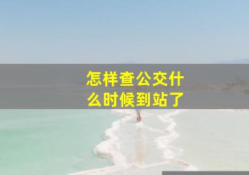 怎样查公交什么时候到站了