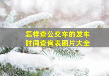 怎样查公交车的发车时间查询表图片大全