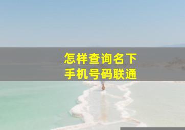 怎样查询名下手机号码联通