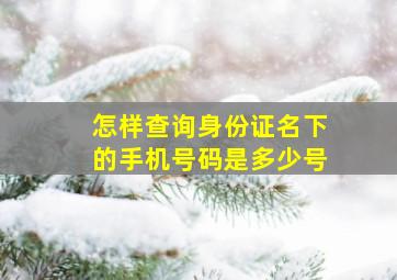 怎样查询身份证名下的手机号码是多少号