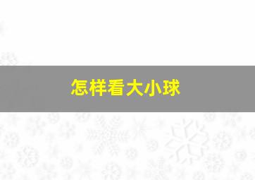 怎样看大小球