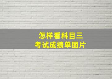 怎样看科目三考试成绩单图片