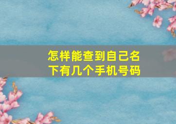 怎样能查到自己名下有几个手机号码