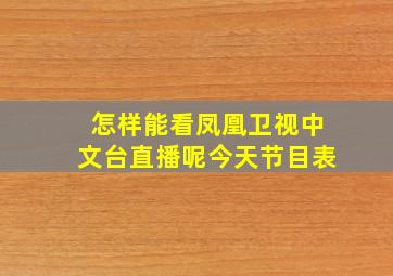 怎样能看凤凰卫视中文台直播呢今天节目表