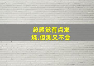 总感觉有点发烧,但测又不会