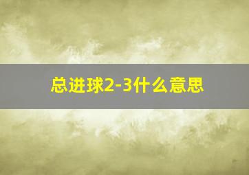 总进球2-3什么意思