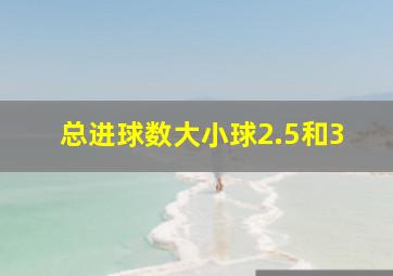 总进球数大小球2.5和3