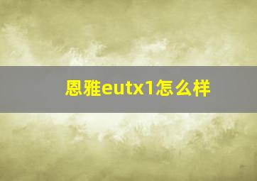 恩雅eutx1怎么样