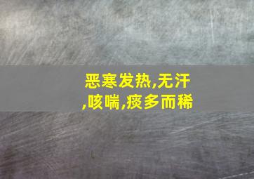 恶寒发热,无汗,咳喘,痰多而稀