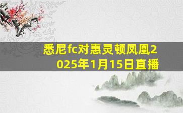 悉尼fc对惠灵顿凤凰2025年1月15日直播