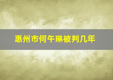 惠州市何午琳被判几年