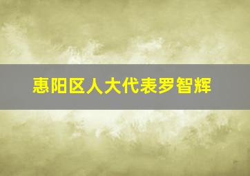 惠阳区人大代表罗智辉