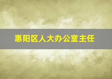 惠阳区人大办公室主任