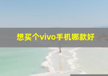 想买个vivo手机哪款好