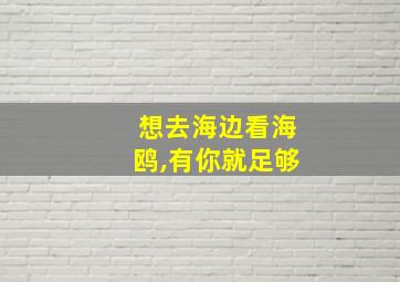 想去海边看海鸥,有你就足够