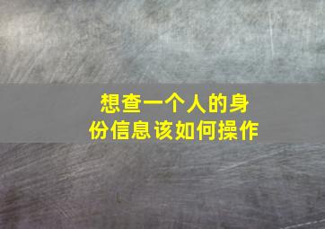 想查一个人的身份信息该如何操作