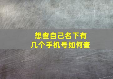 想查自己名下有几个手机号如何查