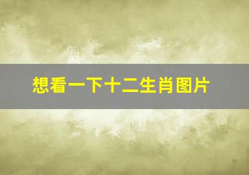 想看一下十二生肖图片