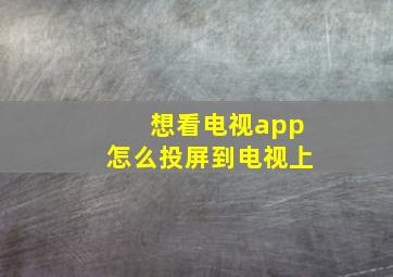 想看电视app怎么投屏到电视上